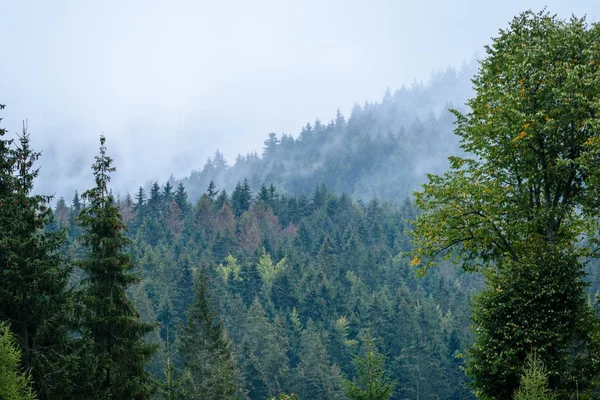 Misty morning view in wet mountain area in slovakian tatra. autu — Stock Photo, Image