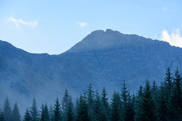 Misty morning view in wet mountain area in slovakian tatra — Stock Photo, Image