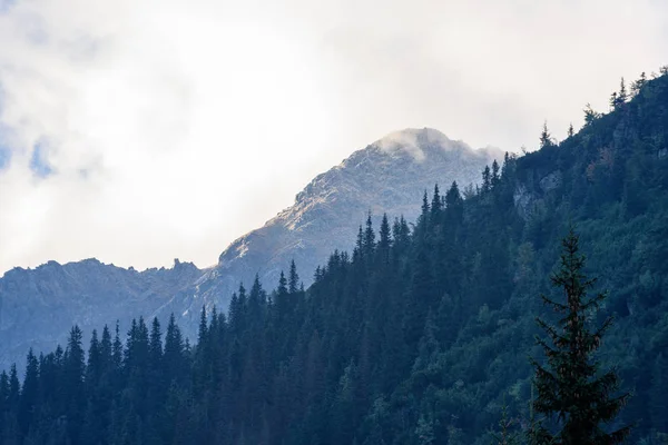 Slovakça tatra alanında ıslak dağ görünümünde puslu sabah — Stok fotoğraf