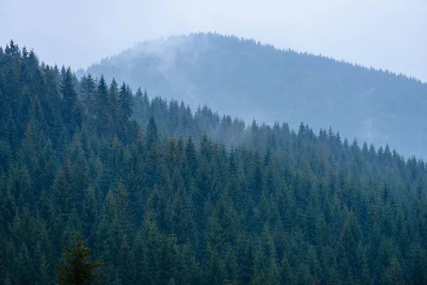 Mlhavé ráno pohled v mokré horské oblasti slovenské Tatry. autu — Stock fotografie