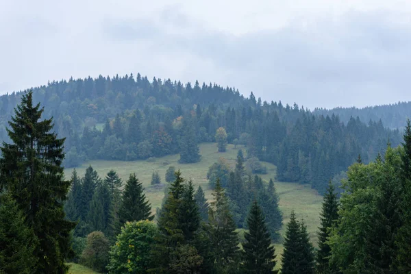 Nebel am Morgen in feuchter Bergregion in der slowakischen Tatra. autu — Stockfoto