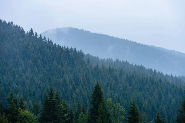 Nebel am Morgen in feuchter Bergregion in der slowakischen Tatra. autu — Stockfoto