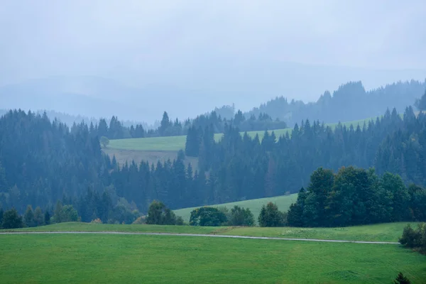 Туманний вид вранці в мокрій гірській місцевості в словацькій татрах — стокове фото