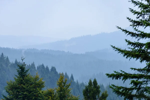 Misty morning view in wet mountain area in slovakian tatra. autu — Stock Photo, Image