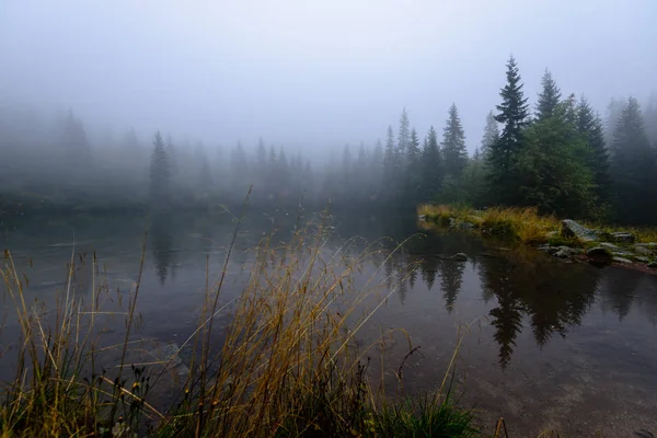 Puslu sabah Slovakça tatra alanında ıslak dağ görünümünde. yarış — Stok fotoğraf