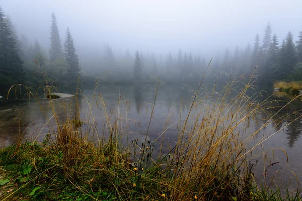 Puslu sabah Slovakça tatra alanında ıslak dağ görünümünde. yarış — Stok fotoğraf