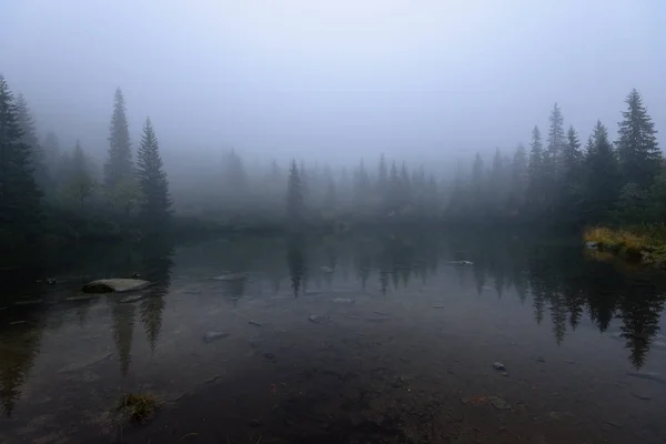Vue matinale brumeuse dans une zone de montagne humide en tatra slovaque. moun — Photo