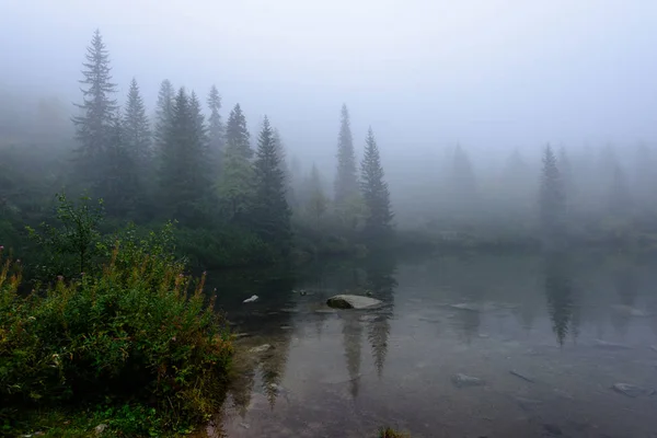 Puslu sabah Slovakça tatra alanında ıslak dağ görünümünde. yarış — Stok fotoğraf