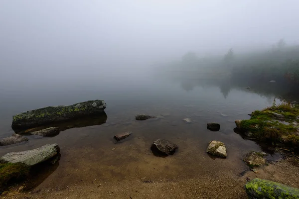 Puslu sabah Slovakça tatra alanında ıslak dağ görünümünde. yarış — Stok fotoğraf