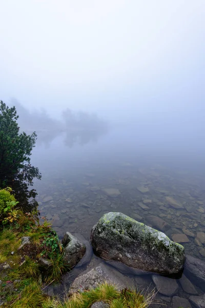 Misty morning view in wet mountain area in slovakian tatra — Stock Photo, Image