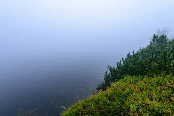 Ködös reggel nézet a Szlovák Tátrai nedves hegyvidéki területen — Stock Fotó