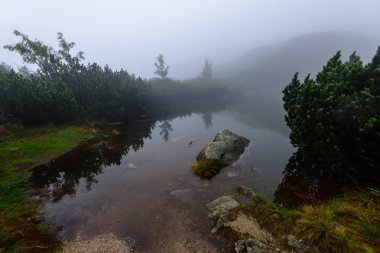 puslu sabah Slovakça tatra alanında ıslak dağ görünümünde. yarış
