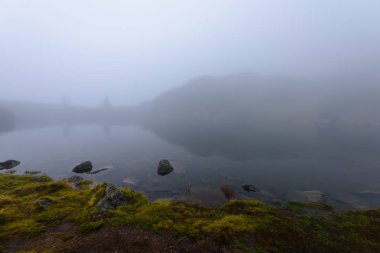 puslu sabah Slovakça tatra alanında ıslak dağ görünümünde. yarış