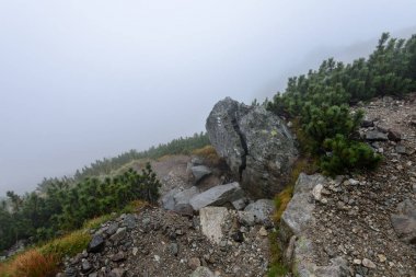 puslu sabah Slovakça tatra alanında ıslak dağ görünümünde. Tur