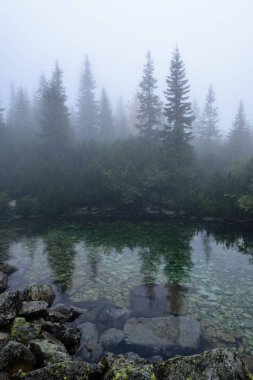 puslu sabah Slovakça tatra alanında ıslak dağ görünümünde. yarış