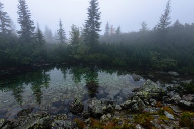 puslu sabah Slovakça tatra alanında ıslak dağ görünümünde. yarış
