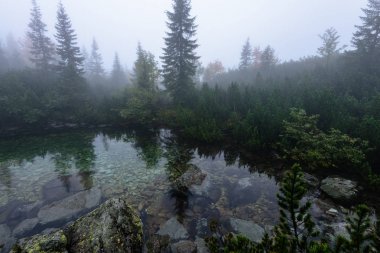 puslu sabah Slovakça tatra alanında ıslak dağ görünümünde. yarış