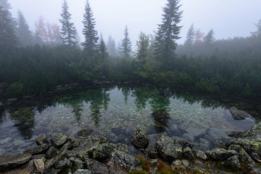 puslu sabah Slovakça tatra alanında ıslak dağ görünümünde. yarış