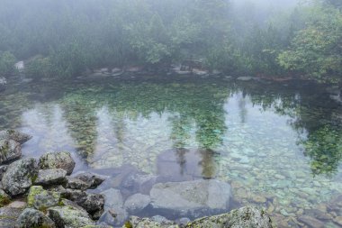 puslu sabah Slovakça tatra alanında ıslak dağ görünümünde. yarış