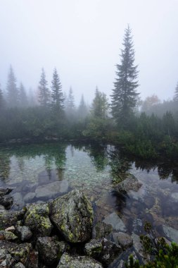 puslu sabah Slovakça tatra alanında ıslak dağ görünümünde. yarış