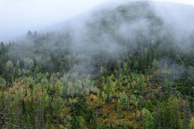 puslu sabah Slovakça tatra alanında ıslak dağ görünümünde. autu