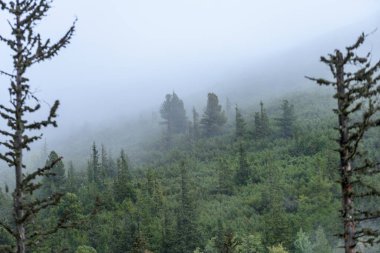 puslu sabah Slovakça tatra alanında ıslak dağ görünümünde. autu