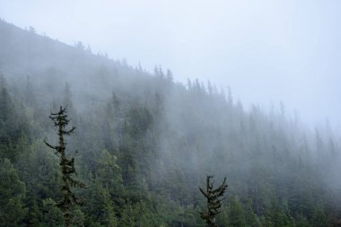 puslu sabah Slovakça tatra alanında ıslak dağ görünümünde. autu
