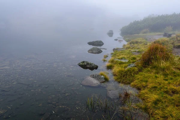 puslu sabah Slovakça tatra alanında ıslak dağ görünümünde. yarış