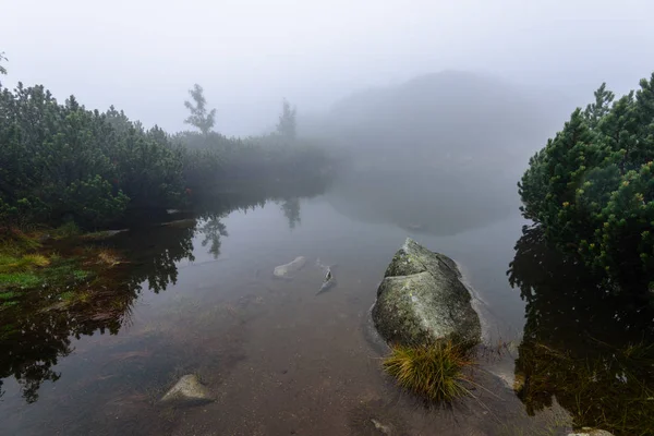 puslu sabah Slovakça tatra alanında ıslak dağ görünümünde. yarış