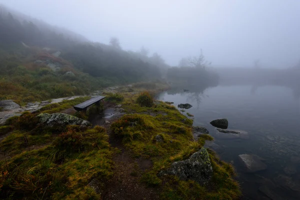 puslu sabah Slovakça tatra alanında ıslak dağ görünümünde. yarış