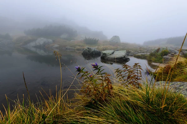 puslu sabah Slovakça tatra alanında ıslak dağ görünümünde. yarış