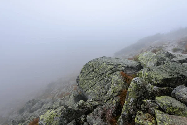 Slovakça tatra alanında ıslak dağ görünümünde puslu sabah