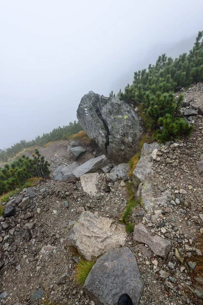 puslu sabah Slovakça tatra alanında ıslak dağ görünümünde. Tur