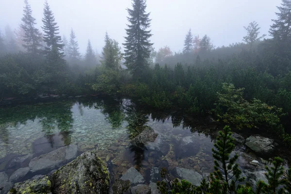 puslu sabah Slovakça tatra alanında ıslak dağ görünümünde. yarış