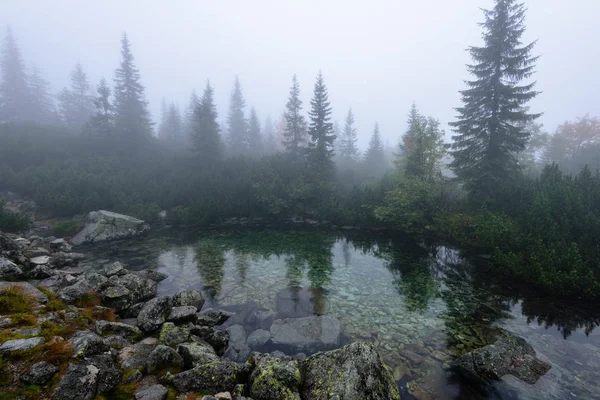 Puslu sabah Slovakça tatra alanında ıslak dağ görünümünde. yarış — Stok fotoğraf