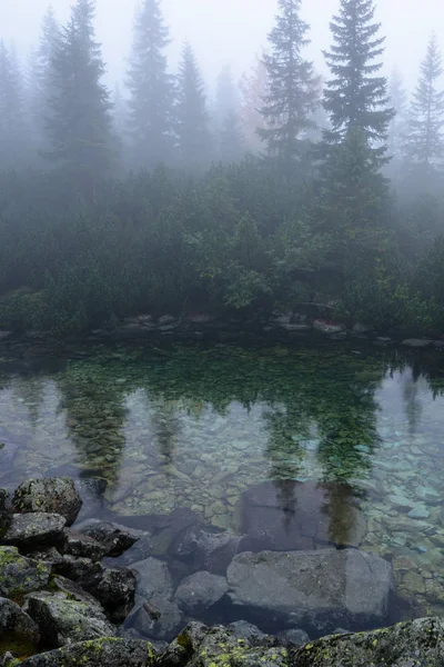 puslu sabah Slovakça tatra alanında ıslak dağ görünümünde. yarış