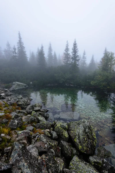 puslu sabah Slovakça tatra alanında ıslak dağ görünümünde. yarış