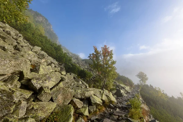 puslu sabah Slovakça tatra alanında ıslak dağ görünümünde. Tur