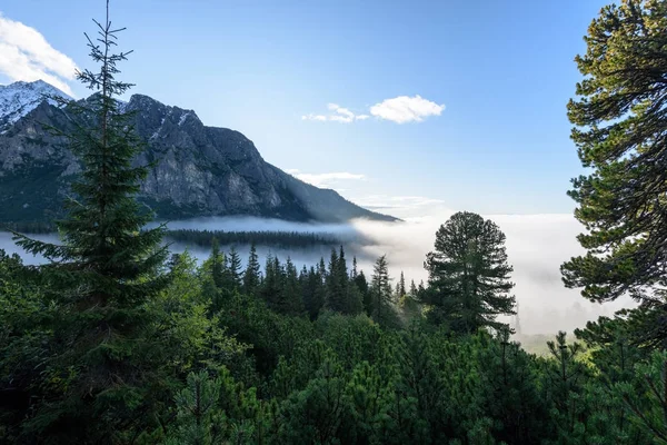 Mgliste rano widok w mokrych górach Tatry słowackie — Zdjęcie stockowe