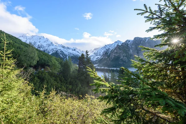 Mlhavé ráno pohled v mokré horské oblasti slovenské Tatry. autu — Stock fotografie