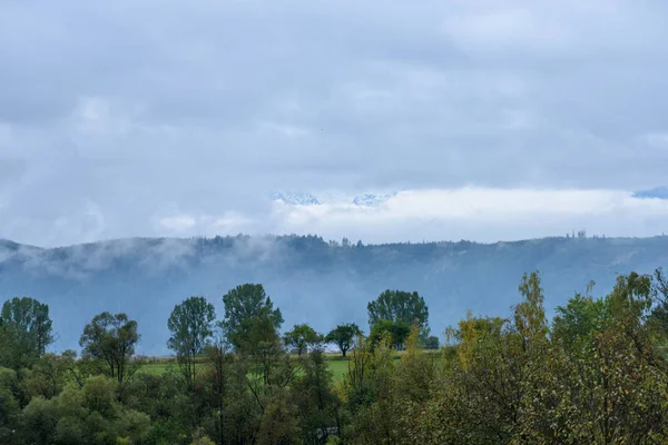 puslu sabah Slovakça tatra alanında ıslak dağ görünümünde. autu