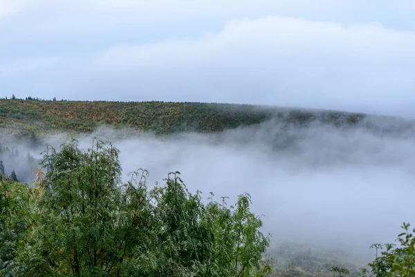 puslu sabah Slovakça tatra alanında ıslak dağ görünümünde. autu