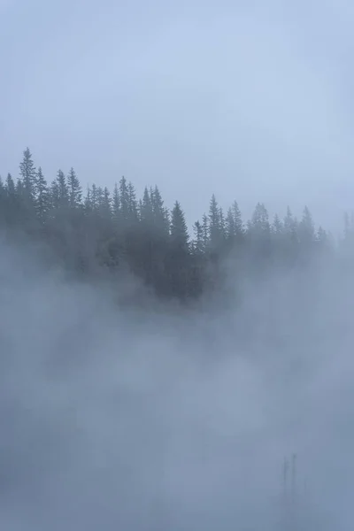 Niebla vista de la mañana en la zona de montaña húmeda en Tatra eslovaco. autu —  Fotos de Stock