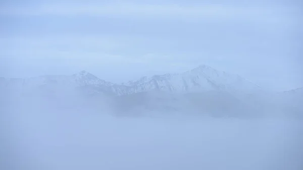 Tåkete morgenutsikt i våte fjellområder i slovakisk tatra – stockfoto