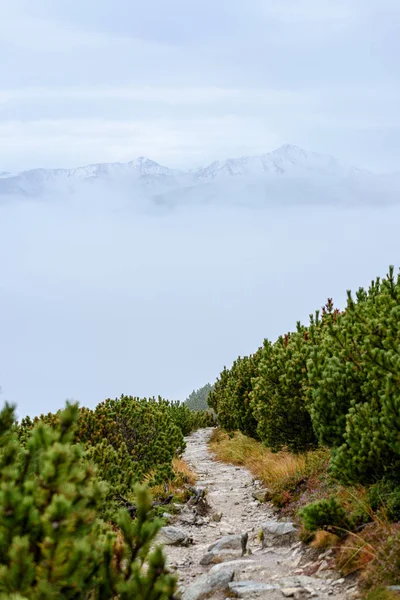 Misty πρωί θέα στην περιοχή wet βουνό tatra της Σλοβακίας. Περιήγηση — Φωτογραφία Αρχείου