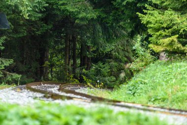 ormandaki ıslak yaz gün dalgalı demiryolu parça