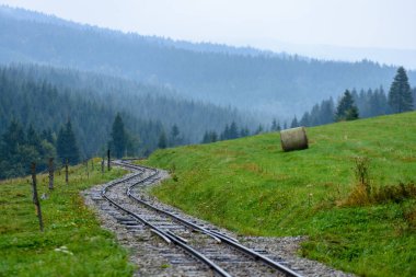 ormandaki ıslak yaz gün dalgalı demiryolu parça