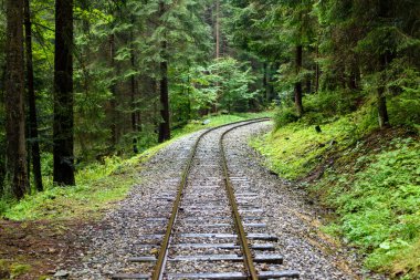 ormandaki ıslak yaz gün dalgalı demiryolu parça