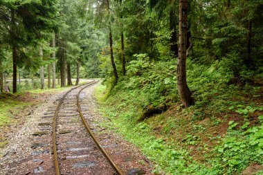 ormandaki ıslak yaz gün dalgalı demiryolu parça
