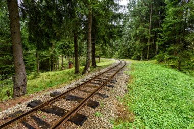 ormandaki ıslak yaz gün dalgalı demiryolu parça